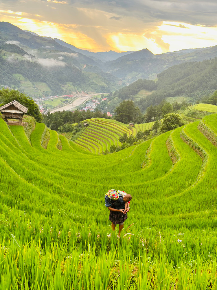 Đồng bào H&apos;Mông ở Mù Cang Chải trồng lúa trên ruộng bậc thang từ bao đời nay. Kỳ quan vừa kỳ vĩ, vừa gần gũi này được tạo bởi chính bàn tay của người nông dân cả cuộc đời gắn bó với núi rừng.