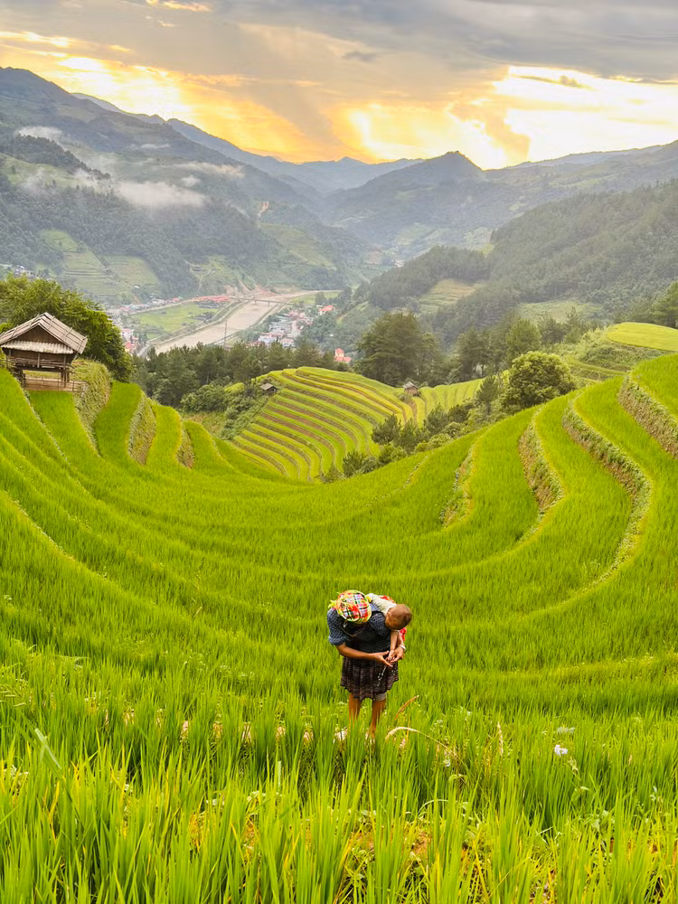 Đồng bào H'Mông ở Mù Cang Chải trồng lúa trên ruộng bậc thang từ bao đời nay. Kỳ quan vừa kỳ vĩ, vừa gần gũi này được tạo bởi chính bàn tay của người nông dân cả cuộc đời gắn bó với núi rừng.