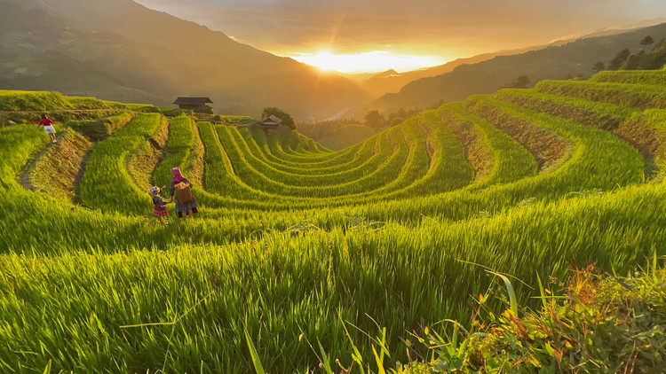 Nằm dưới chân dãy Hoàng Liên Sơn hùng vĩ, ruộng bậc thang Mù Cang Chải là di sản văn hóa do người dân tộc địa phương qua nhiều thế hệ tạo nên. Năm 2007, ruộng bậc thang ở 3 xã La Pán Tẩn, Dế Xu Phình, Chế Cu Nha được Nhà nước công nhận Danh thắng quốc gia và nằm trong top 10 ruộng bậc thang đẹp nhất thế giới.