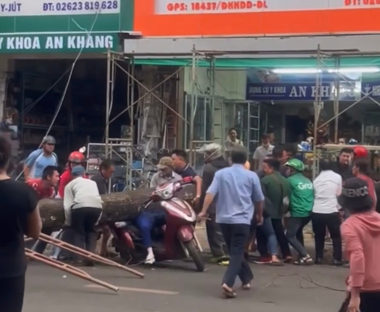 Người dân xúm vào nổ lực giải cứu cô gái bị cây đè lên người.