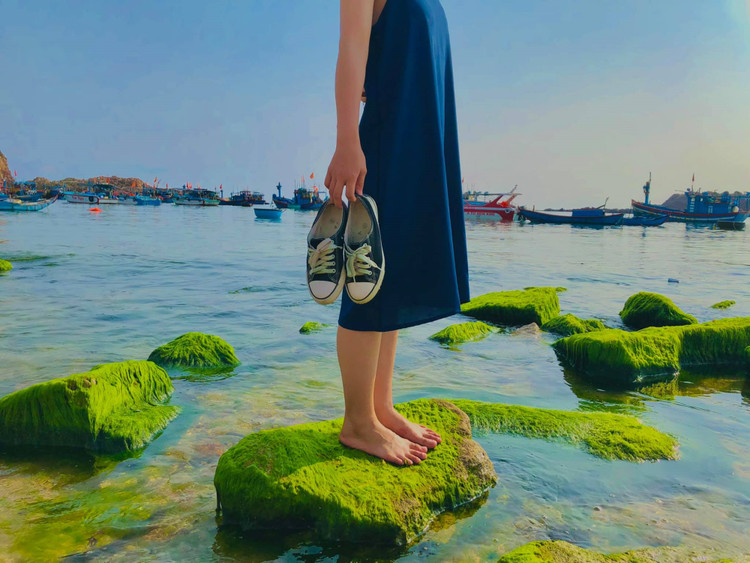Để chụp được vẻ đẹp bãi đá phủ đầy rêu xanh, du khách phải đến đúng lúc thủy triều cạn. Ảnh Huỳnh Nhi