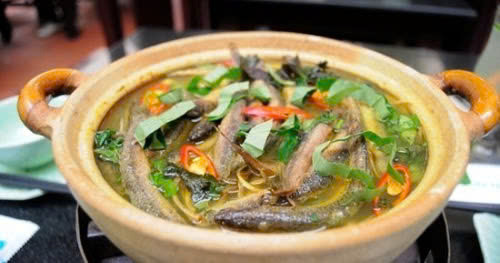 Chống viêm: Chạch chứa một loại axit béo không bão hòa, có khả năng chống lão hóa mạch máu, rất tốt cho người cao tuổi. Chất nhầy trơn ngoài da của nó cũng có tác dụng chống viêm, kháng khuẩn. Ảnh minh họa