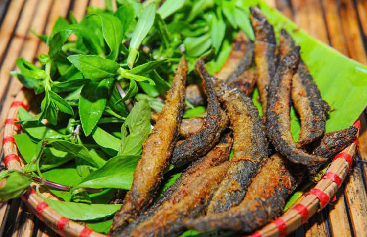 Tăng sắt, bổ máu: Cá chạch rất giàu protein và các nguyên tố sắt, rất hữu ích cho những bệnh nhân bị thiếu máu do thiếu sắt.