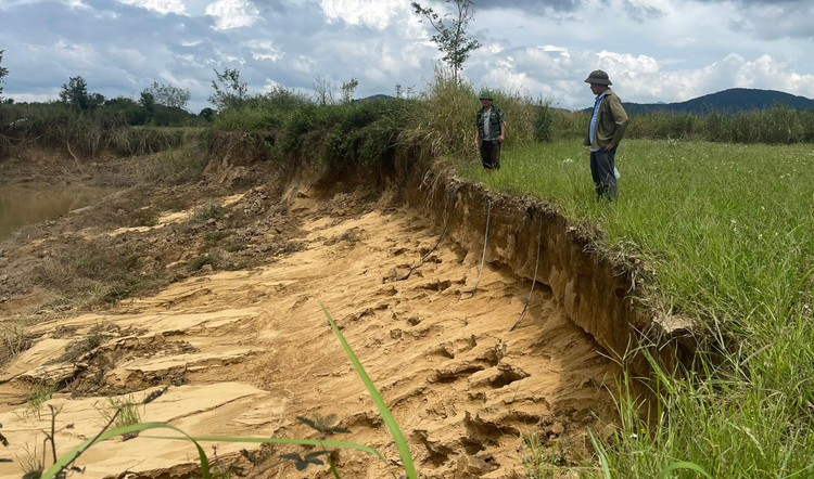 Đất người dân bị tàu hút cát gây sạt lở để lại những ống dây tưới trơ trọi ở lại.