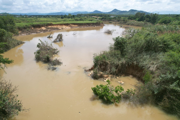 Sông Krông Pắk bị biến dạng và thay đổi dòng chảy nghiêm trọng, cây giữ bờ sạt lở xuống dòng sông.