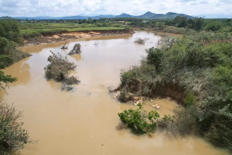 Sông Krông Pắk bị biến dạng và thay đổi dòng chảy nghiêm trọng, cây giữ bờ sạt lở xuống dòng sông.