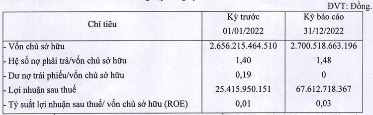 Kết quả kinh doanh năm 2022 của tập đoàn Trường Thịnh