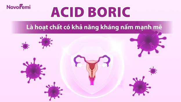 Acid Boric là hoạt chất có khả năng kháng nấm mạnh mẽ