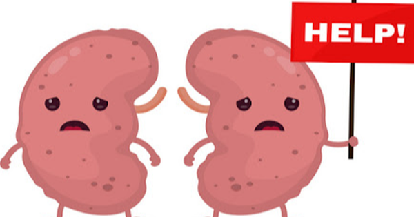 Thói quen hàng ngày vô tình làm tổn thương thận. Ảnh minh họa