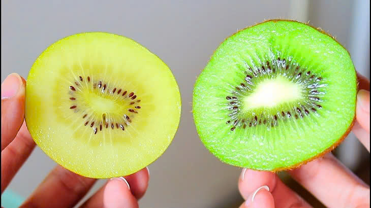 Ngăn ngừa nhiễm khuẩn và nhiễm nấm: Cả 2 loại kiwi xanh và kiwi vàng đều cho thấy khả năng kháng khuẩn và kháng nấm. Đặc biệt, tác dụng này nhiều nhất ở hạt của kiwi. Chiết xuất từ quả Kiwi đã cho thấy hoạt tính kháng khuẩn chống lại một số chủng vi khuẩn. Kiwi vàng chứa một loại protein gọi là actinchinin, được cho là nguồn gốc của khả năng kháng nấm của chúng. Ảnh minh họa
