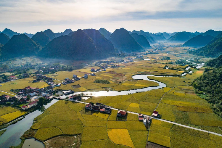 Tháng 7 và tháng 11 hàng năm là thời điểm thung lũng Bắc Sơn bắt đầu vào mùa lúa chín. Nguồn: Thanh Dat