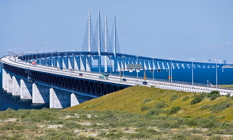 Hòn đảo còn nổi tiếng với sự đa dạng của hệ sinh thái, bao gồm hơn 500 loài cây khác nhau và là nơi sinh sống và sinh sản của nhiều loài chim và cóc xanh. Ảnh Along Walker