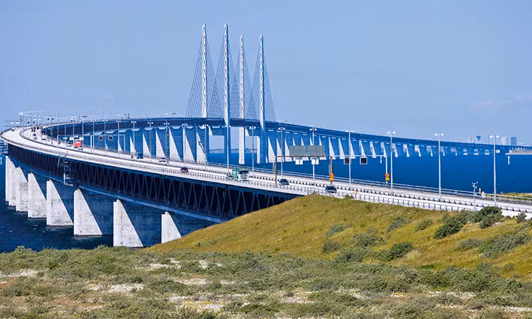 Hòn đảo còn nổi tiếng với sự đa dạng của hệ sinh thái, bao gồm hơn 500 loài cây khác nhau và là nơi sinh sống và sinh sản của nhiều loài chim và cóc xanh. Ảnh Along Walker Hòn đảo còn nổi tiếng với sự đa dạng của hệ sinh thái, bao gồm hơn 500 loài cây khác nhau và là nơi sinh sống và sinh sản của nhiều loài chim và cóc xanh. Ảnh Along Walker