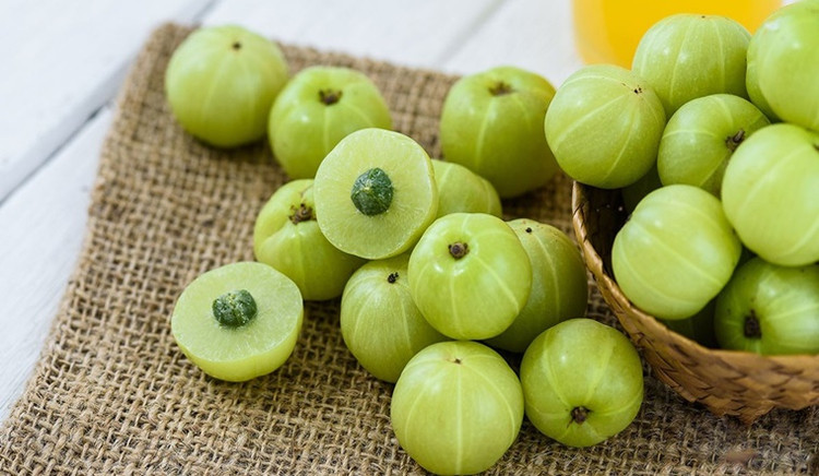 Loại quả này có vẻ ngoài nhỏ bé, được các chuyên gia đánh giá là có khả năng bảo vệ sức khỏe và điều trị một số bệnh. Ảnh minh hoạ/ Nguồn: Internet