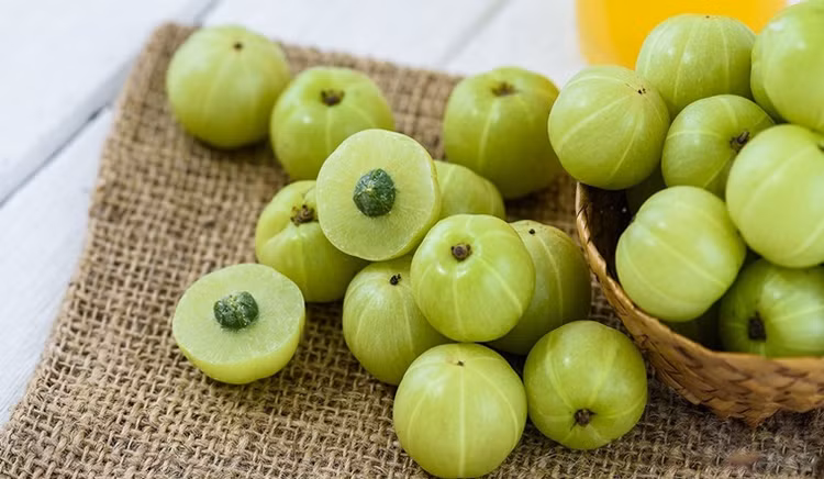 Loại quả này có vẻ ngoài nhỏ bé, được các chuyên gia đánh giá là có khả năng bảo vệ sức khỏe và điều trị một số bệnh. Ảnh minh hoạ/ Nguồn: Internet