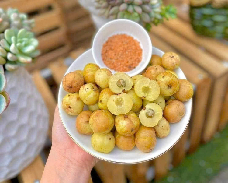 Me rừng là một loại quả rất giàu vitamin và khoáng chất như chất xơ, vitamin C, crom, tanin… Ảnh minh hoạ