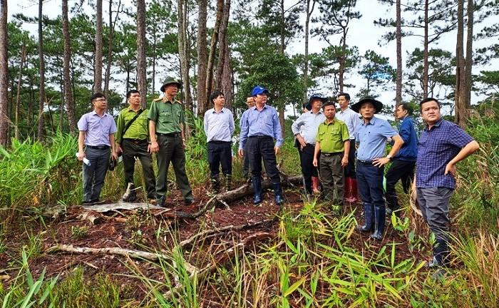 Lãnh đạo UBND tỉnh Lâm Đồng và lãnh đạo các cơ quan liên quan trong lần kiểm tra công tác quản lý, bảo vệ rừng ở huyện Đam Rông ngày 20/9 vừa qua.