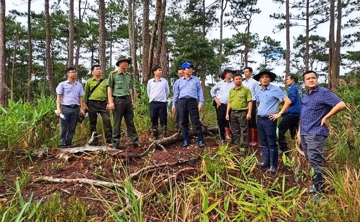 Lãnh đạo UBND tỉnh Lâm Đồng và lãnh đạo các cơ quan liên quan trong lần kiểm tra công tác quản lý, bảo vệ rừng ở huyện Đam Rông ngày 20/9 vừa qua.
