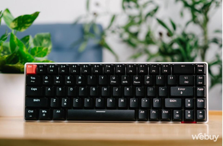 CC68 tức là có 68 nút, loại bỏ hàng phím Numpad, Function và một vài nút nữa so với một bàn phím Full-size. (Ảnh: Webuy)