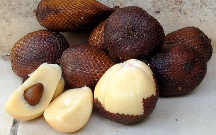 Loại quả xù xì được ví như “thuốc” hạ đường huyết tự nhiên. Ảnh minh họa