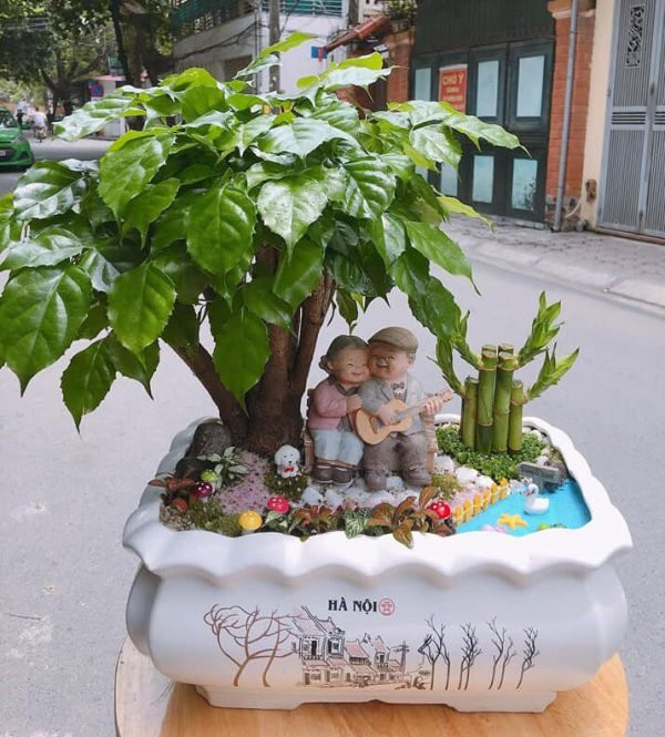 Cây hạnh phúc được nhiều người ví như “lá bùa may mắn". Ảnh minh họa Cây hạnh phúc được nhiều người ví như “lá bùa may mắn". Ảnh minh họa