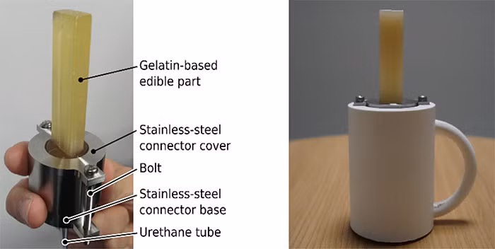 Nhật Bản phát triển thành công "robot ăn được" đầu tiên trên thế giới. Ảnh Khoa hoc