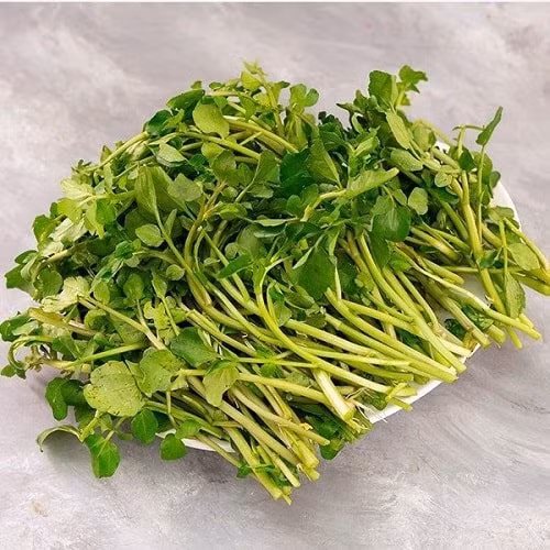 Rau cải xoong. Ảnh minh họa