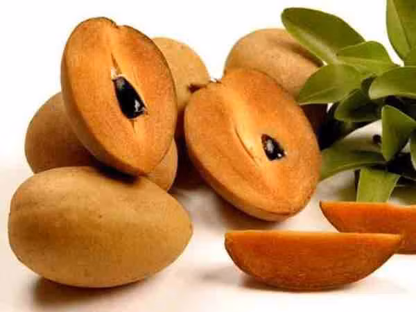 Hồng xiêm là loại trái cây có chứa nhiều chất dinh dưỡng cần thiết như chất đạm, chất béo, calories, canxi, các loại vitamin,... tốt cho sức khỏe con người. Ảnh minh họa