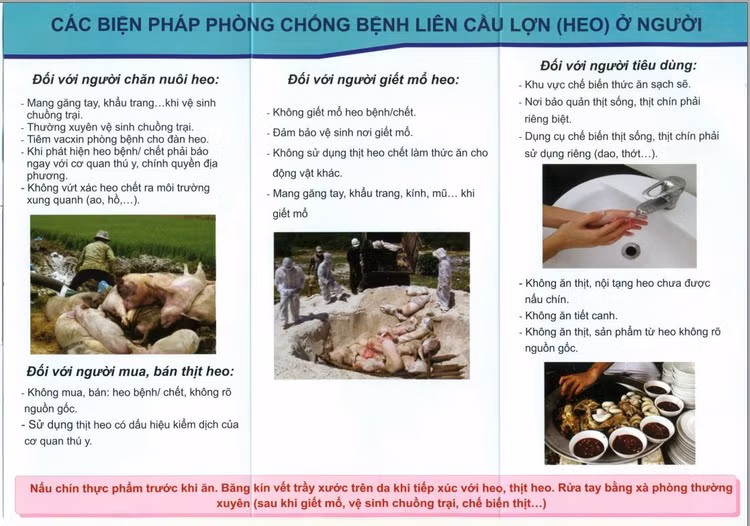 Nguồn: Chi cục an toàn thực phẩm tỉnh Thái Bình