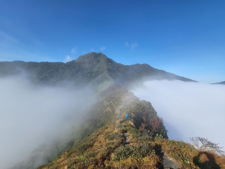 Sống lưng khủng long Tà Xùa là ranh giới của huyện Bắc Yên (Sơn La) và huyện Trạm Tấu (Yên Bái). Ảnh Lê Huyền Trang Sống lưng khủng long Tà Xùa là ranh giới của huyện Bắc Yên (Sơn La) và huyện Trạm Tấu (Yên Bái). Ảnh Lê Huyền Trang
