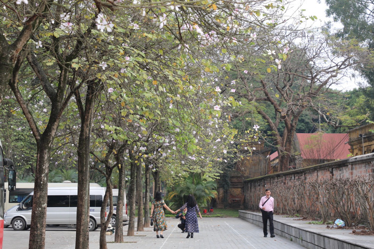 Nhiều người chụp ảnh trong khung cảnh mang đậm sắc màu của núi rừng Tây Bắc giữa lòng Thủ đô.