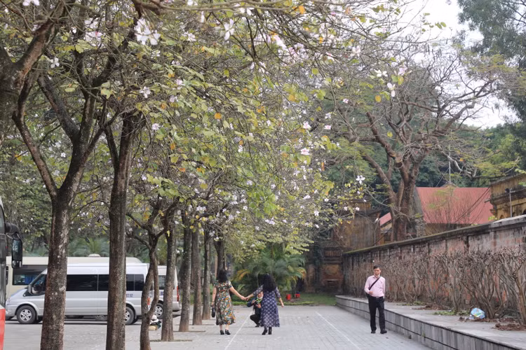 Nhiều người chụp ảnh trong khung cảnh mang đậm sắc màu của núi rừng Tây Bắc giữa lòng Thủ đô. Nhiều người chụp ảnh trong khung cảnh mang đậm sắc màu của núi rừng Tây Bắc giữa lòng Thủ đô.