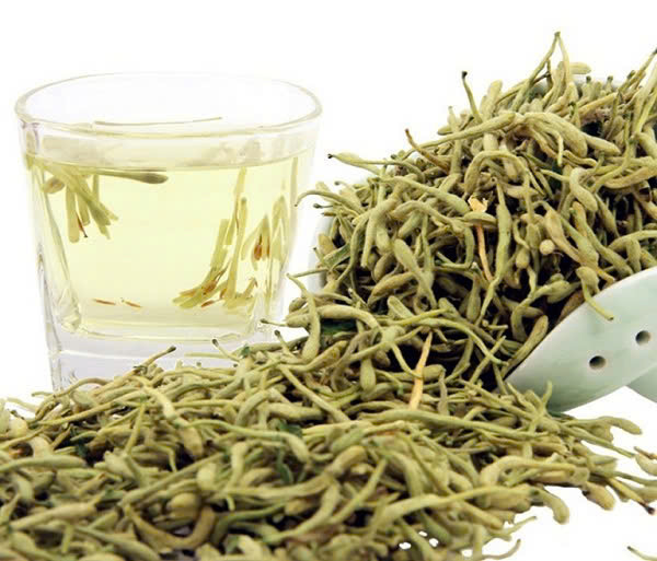 Bảo vệ gan: Các hoạt chất sinh học có trong kim ngân hoa, bao gồm flavonoid, saponin và các hợp chất phenolic khác, đã được chứng minh có khả năng chống oxy hóa mạnh mẽ, giúp bảo vệ tế bào gan khỏi các tổn thương do gốc tự do gây ra. Ngoài ra, kim ngân hoa còn có tác dụng kích thích sản xuất các enzyme giải độc gan, tăng cường khả năng lọc và loại bỏ các chất độc hại ra khỏi cơ thể. Nhờ đó, việc sử dụng kim ngân hoa thường xuyên có thể giúp phòng ngừa và hỗ trợ điều trị các bệnh lý về gan như viêm gan, gan nhiễm mỡ, xơ gan, thậm chí là ung thư gan. Ảnh minh họa