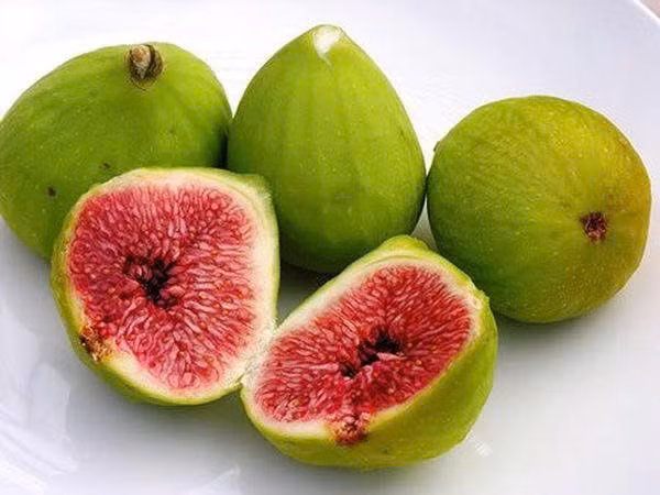 Điều hòa huyết áp: Quả sung rất giàu kali, một loại khoáng chất giúp điều hòa huyết áp. Bổ sung thực phẩm giàu kali giúp hỗ trợ sức khỏe tim mạch và giảm nguy cơ tăng huyết áp.