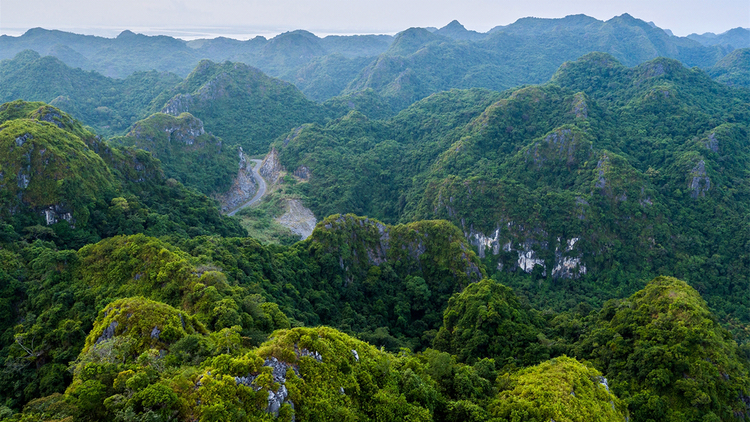 Vườn quốc gia Cát Bà là điểm đến được nhiều người yêu thích. Nguồn: Vietgoing. Vườn quốc gia Cát Bà là điểm đến được nhiều người yêu thích. Nguồn: Vietgoing.