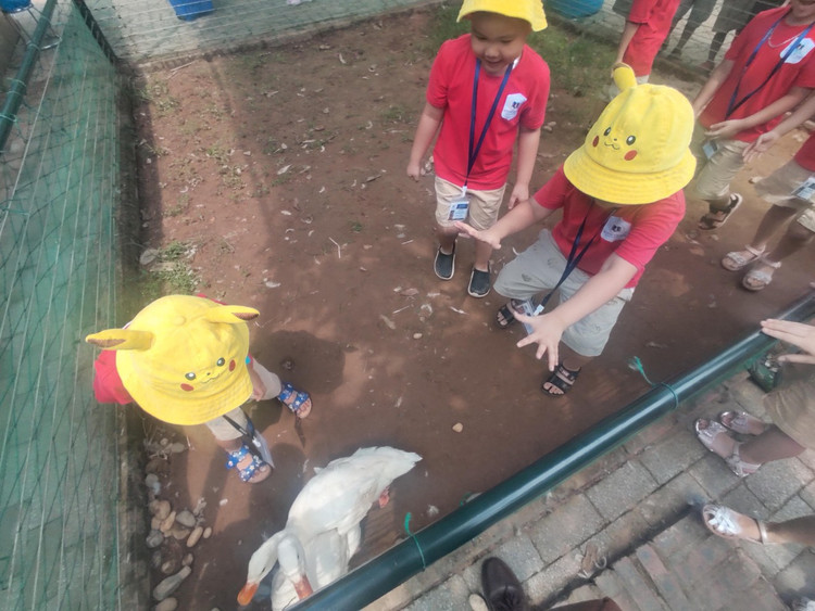 Tham gia trải nghiệm bắt vịt