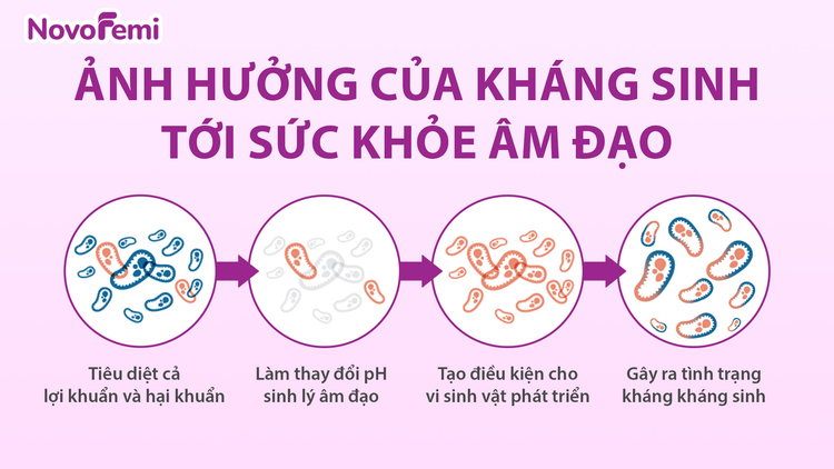 Ảnh hưởng của kháng sinh tới sức khoẻ âm đạo
