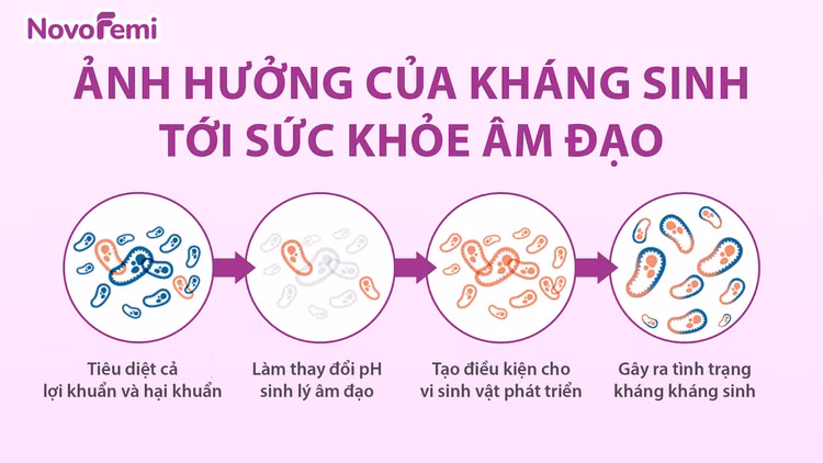 Ảnh hưởng của kháng sinh tới sức khoẻ âm đạo