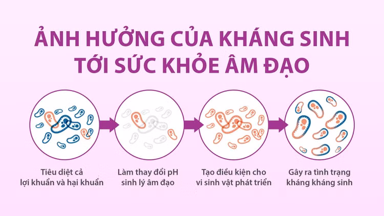Ảnh hưởng của kháng sinh tới sức khoẻ âm đạo