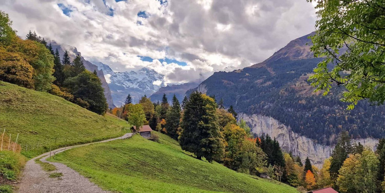 Đến với ngôi làng Wengen, du khách sẽ như lạc vào một bức tranh với đồng cỏ xanh mướt giữa núi rừng hùng vĩ.