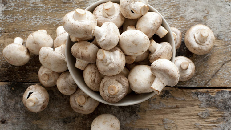 Đặc biệt, nấm đang vào mùa, bạn đừng nên bỏ lỡ loại thực phẩm này để giúp tăng cường sức khoẻ, nhất là vào mùa bệnh truyền nhiễm. Ảnh Internet