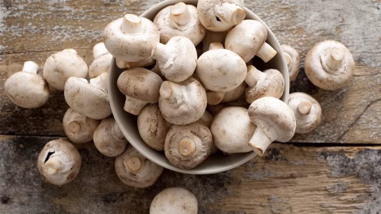 Đặc biệt, nấm đang vào mùa, bạn đừng nên bỏ lỡ loại thực phẩm này để giúp tăng cường sức khoẻ, nhất là vào mùa bệnh truyền nhiễm. Ảnh Internet