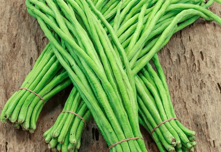 Tốt cho hệ tiêu hóa: Trong thành phần của đậu đũa có chứa nhiều chất xơ, đặc biệt có 2 thành phần chính là chất xơ hòa tan và không hòa tan, giúp hệ tiêu hóa luôn hoạt động tốt và ngăn ngừa bệnh táo bón hiệu quả. Ảnh Internet