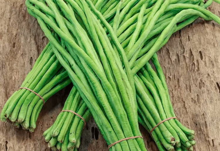 Tốt cho hệ tiêu hóa: Trong thành phần của đậu đũa có chứa nhiều chất xơ, đặc biệt có 2 thành phần chính là chất xơ hòa tan và không hòa tan, giúp hệ tiêu hóa luôn hoạt động tốt và ngăn ngừa bệnh táo bón hiệu quả. Ảnh Internet