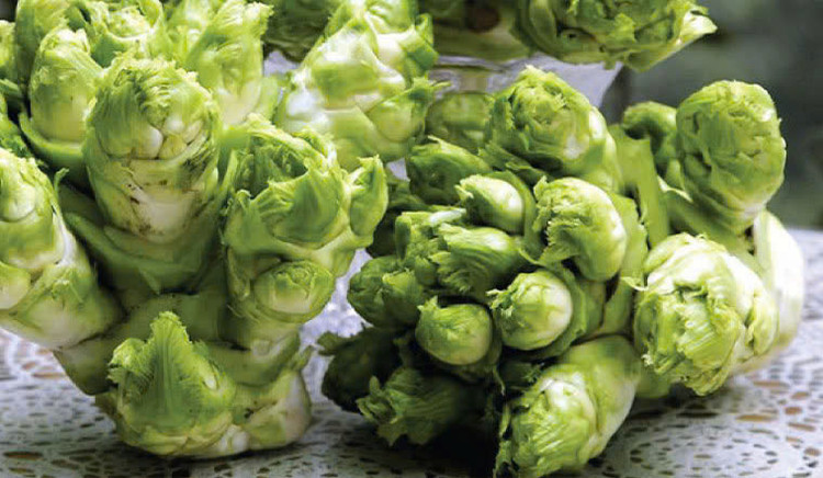 Ảnh minh họa Ảnh minh họa