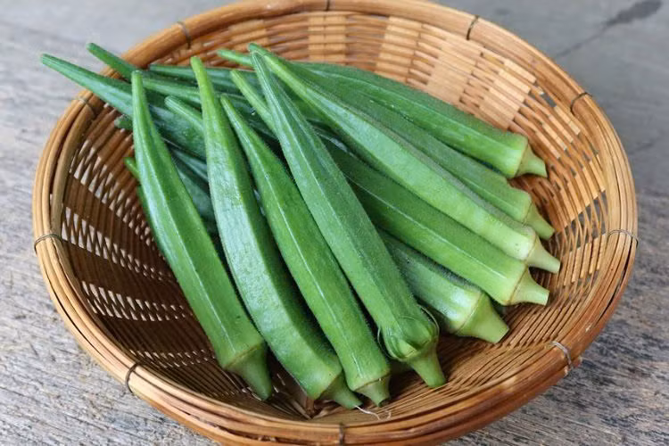 Đậu bắp được biết đến là loại thực phẩm có giá trị dinh dưỡng cao và nhiều lợi ích cho sức khỏe. Ảnh minh họa