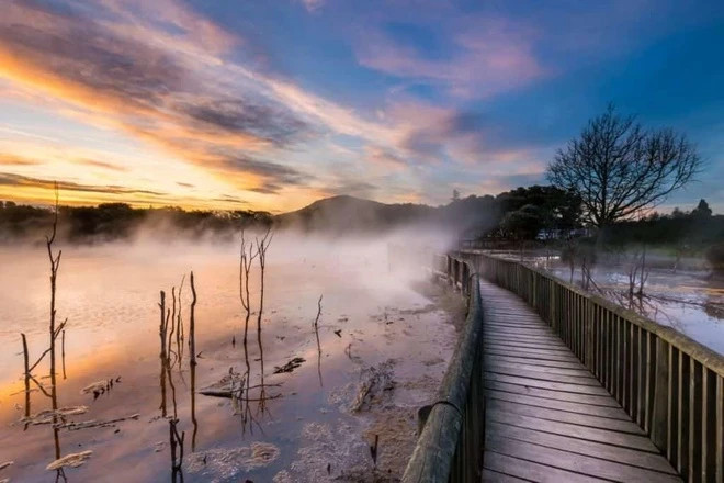 Rotorua còn nổi tiếng thế giới với hồ nước kỳ lạ nằm ngay giữa lòng thành phố. Đây cũng được xem là hồ nước ngọt rộng lớn thứ hai của New Zealand với loài vịt đen và thiên nga đen. Khí hậu của hồ rất ấm áp, thu hút du khách tới ngắm cảnh và câu cá. Ảnh iViVu