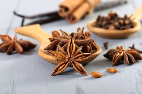 Có đặc tính kháng khuẩn: Hoa hồi có hương vị giống cam thảo từ tinh dầu hồi, được biết là có tác dụng kháng vi-rút mạnh mẽ. Tinh dầu hồi chứa trans-anethole với hoạt tính kháng khuẩn, có hiệu quả chống lại nhiều loại vi khuẩn, bao gồm cả vi khuẩn gây bệnh truyền qua thực phẩm, chẳng hạn như E. coli. và S.aureus. Một số nghiên cứu đã tìm thấy công dụng của hoa hồi có hoạt tính chống vi-rút để chống lại một số chủng cúm. Axit Shikimic là một hợp chất có trong hoa hồi, đã được sử dụng làm phân tử ban đầu để sản xuất Tamiflu (oseltamivir), một loại thuốc kháng vi-rút dùng để chống cúm. Ảnh minh họa