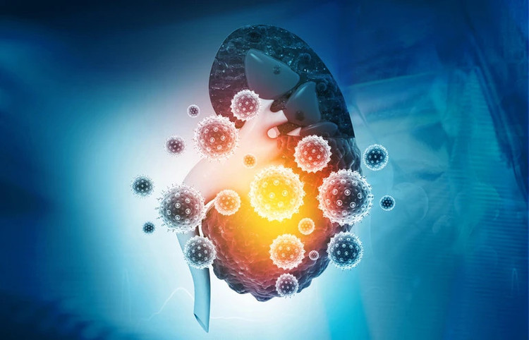 Dấu hiệu cảnh báo có thể bạn đã mắc bệnh thận, cần đi khám ngay. Ảnh minh họa