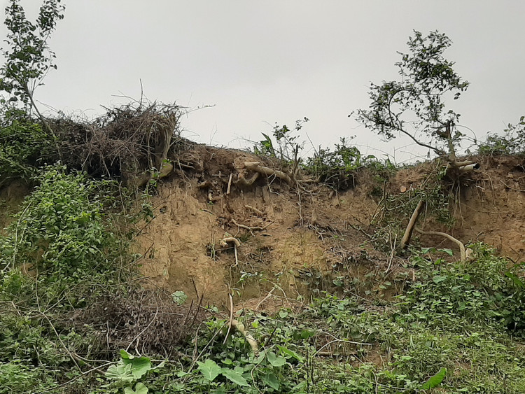 Bờ sông Cầu đang bị sạt lở nghiêm trọng.